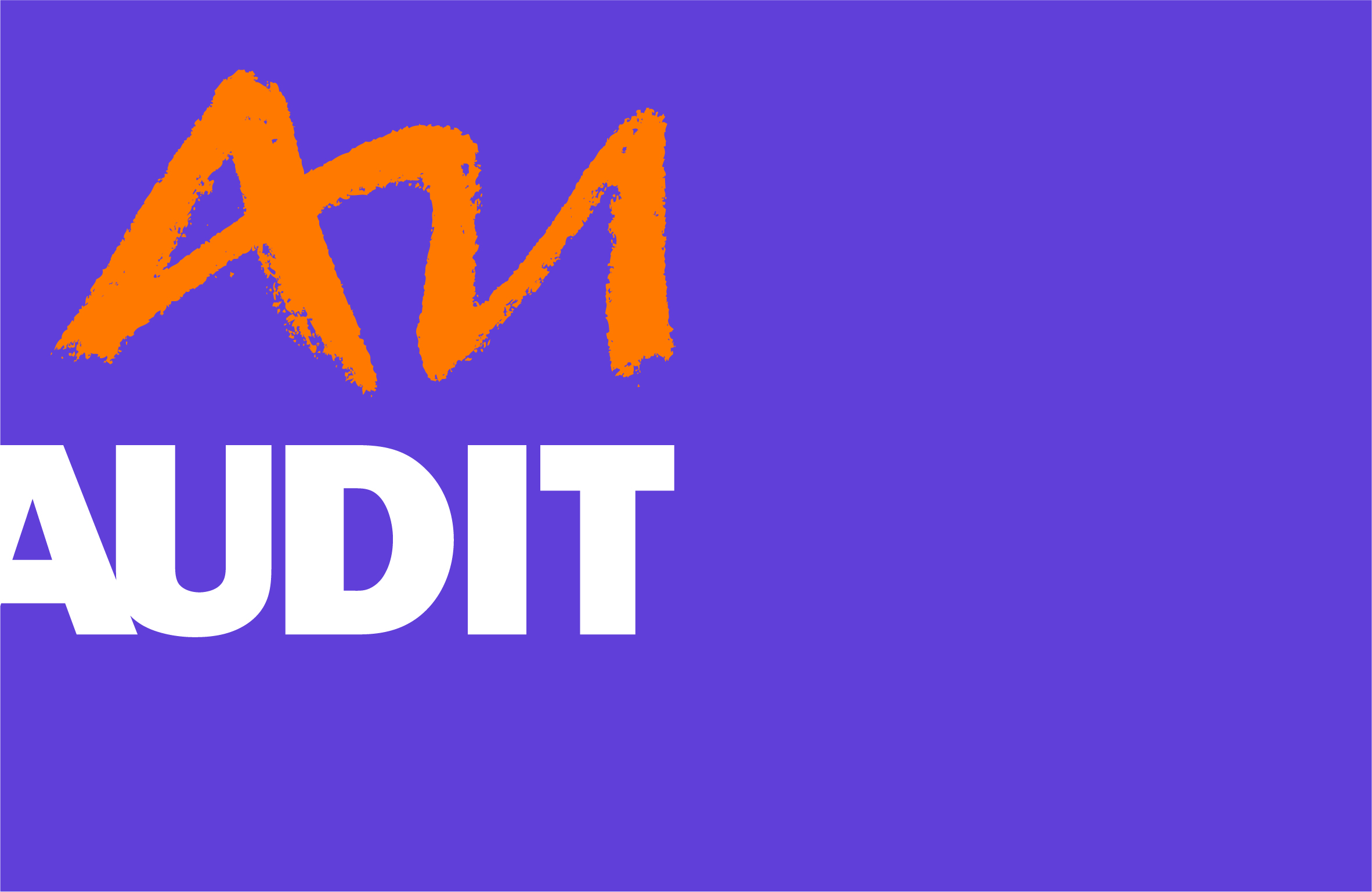 AUDIT