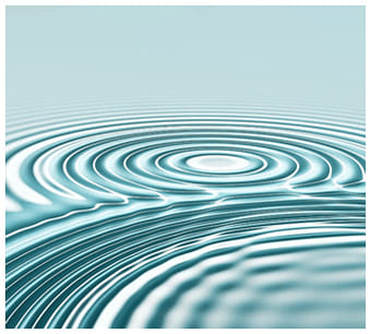 Cambio de sede ANECA